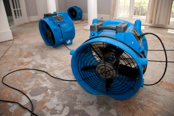 Best Flood restoration services  in Springfield, FL