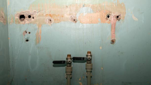 Best Flooded house restoration  in Springfield, FL