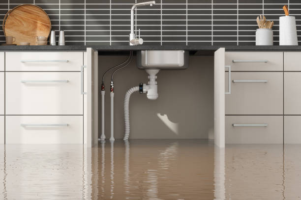 Best Local water damage restoration  in Springfield, FL