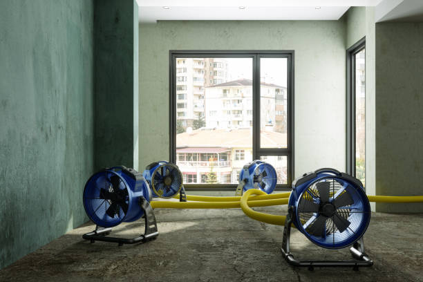 Springfield, FL Water damage restoration Company