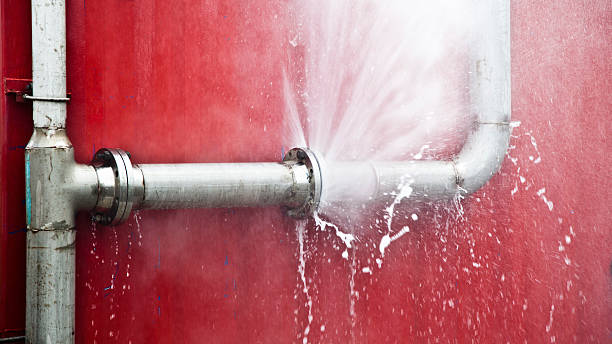 Best Ceiling water damage repair  in Springfield, FL