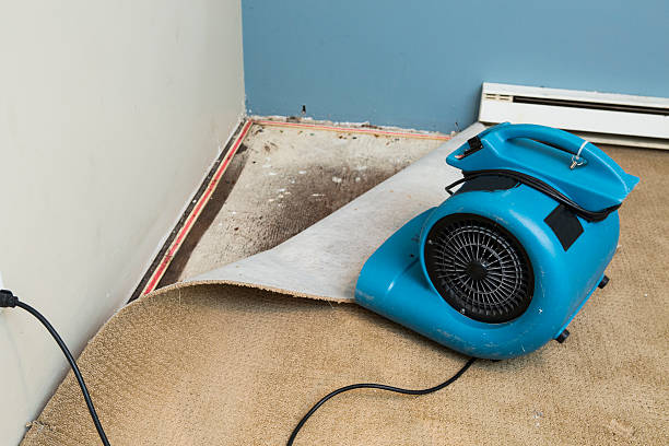 Carpet water damage restoration in Springfield, FL
